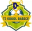 FC Babice 