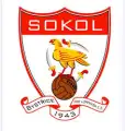 Sokol Bystřice pod Lopeníkem